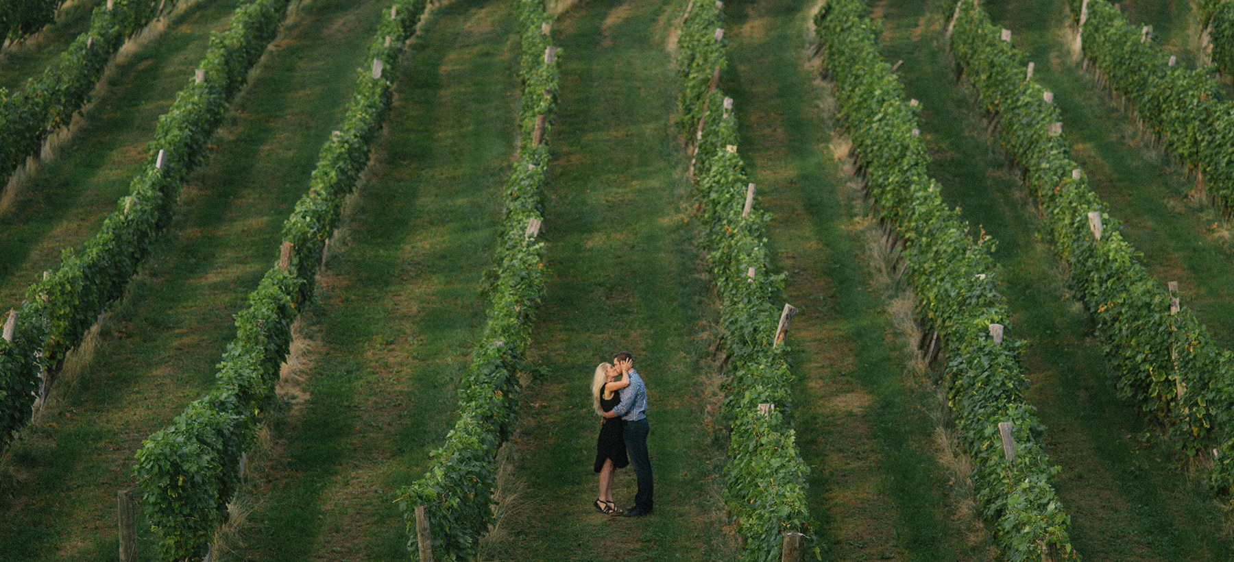Predporočno fotografiranje med vinogradi.