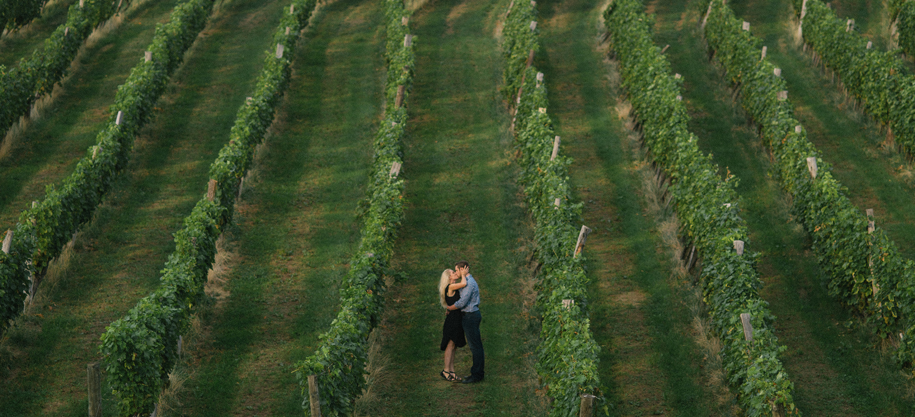 Fotografia di matrimonio tra vigneti.